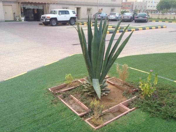 Sharz Hotel image 38
